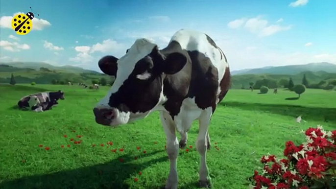 FUNNY COW DANCE 4 │ Cow Song _ Cow Videos 2021(360P)