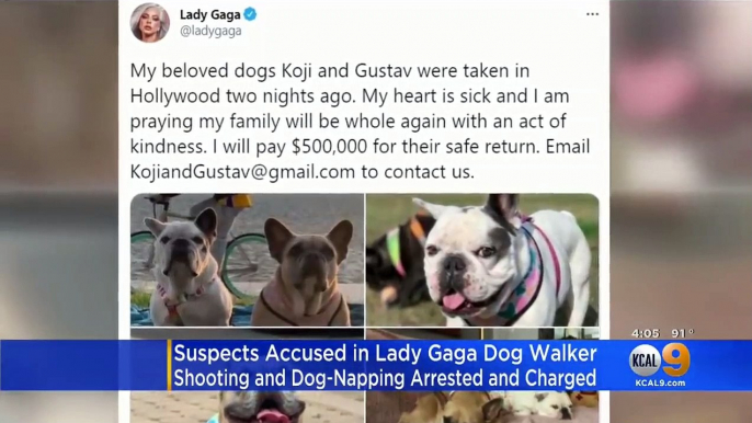 Cinq personnes arrêtées en lien avec l'enlèvement de chiens appartenant à Lady Gaga, au cours duquel un employé de la chanteuse ayant la garde des animaux avait été blessé par balle