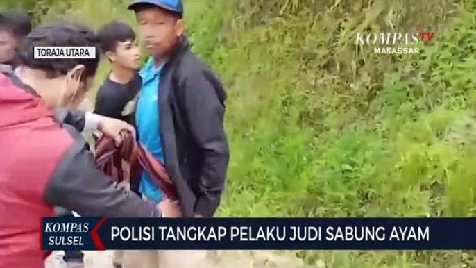 Polisi Tangkap Pelaku Judi Sabung Ayam