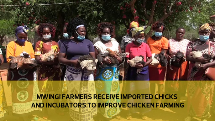 Mwingi farmers receive improved chicks and incubators to improve chicken farming.