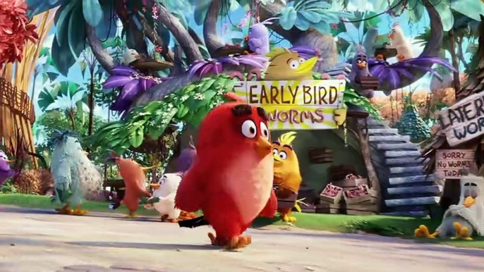 "Angry Birds" : les oiseaux se volent dans les plumes dans un trailer