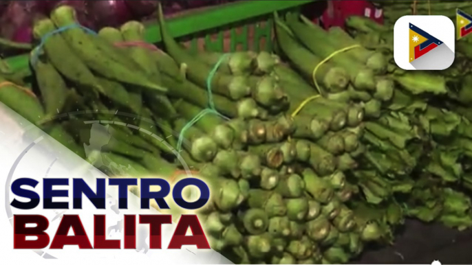 Pilipinas, sisimulan na ang pag-export ng okra sa South Korea; Pilipinas, nangunguna rin sa exportation ng okra sa Japan