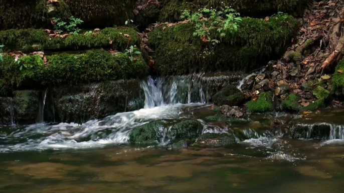 Singing Bowl| Meditation Music| singing bowl meditation| Tibetan singing bowls| meditation music relax mind body| meditation music for positive energy| healing music| sleep music| relaxing music| buddhist music| temple| peace by Rest in Peace