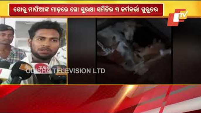 Attack By Cow Smugglers Leaves 3 Vigilantes Critical In Bhadrak, 200 Cattle Rescued