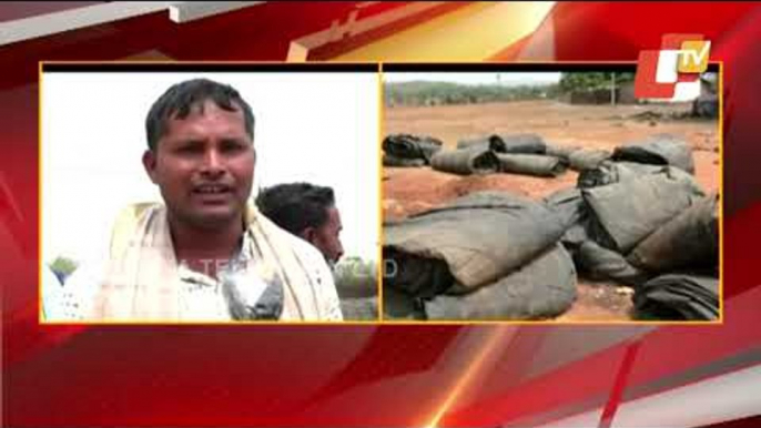 Delay In Procurement | Farmers Returning Back Home With Their Paddy In Sambalpur Mandi