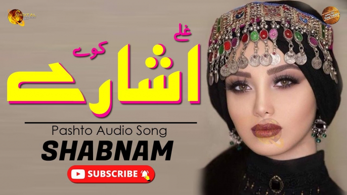 Ghalay Ishare Kawe - Shabnam - Pashto Audio Song - Tang Takoor