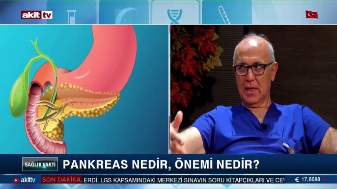 Pankreas nedir, önemi nedir?