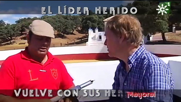 ᐈDébarquement ❤ Corrida Toros➜Valencia, 【Bous a la Mar Denia】Toro Raton ✓Toros para todos Canal Sur✓Toros Bravos, Toros Cerriles☎️Toros Embolados, Toros de corro,Gas Gas Gas, Toros Capones, El Toro en el Campo, Desencajonadas de toros, Concursos de Artes,