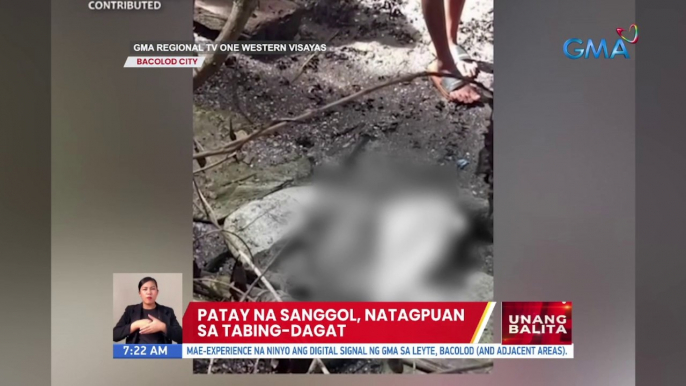 Patay na sanggol, natagpuan sa tabing-dagat sa Bacolod City | UB