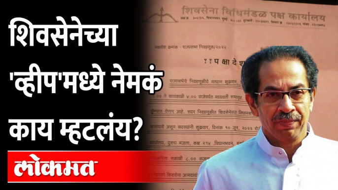 शिवसेनेनं बजावलेल्या व्हीपमध्ये नेमकं काय म्हटलंय? Rajya Sabha Election 2022 | Whip to Shiv Sena MLA