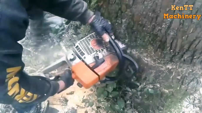 Incredible This man Speed Skills Felling Tree I ever seen - Extreme  Cutting Tree Chainsaw Machine