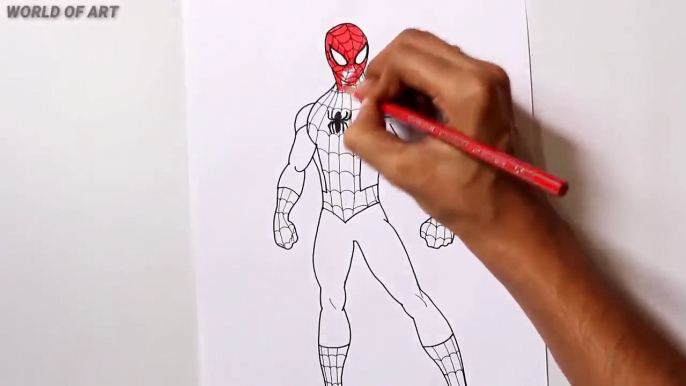 How To Draw Spiderman Step By Step || Spiderman Drawing For Beginners || Marvel Cartoons Drawing