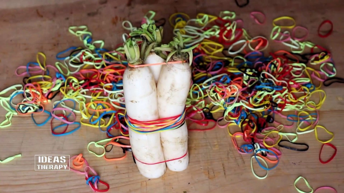 Radish Vs Rubber Bands | Latest Experiment Challenge Video | Ideas Therapy