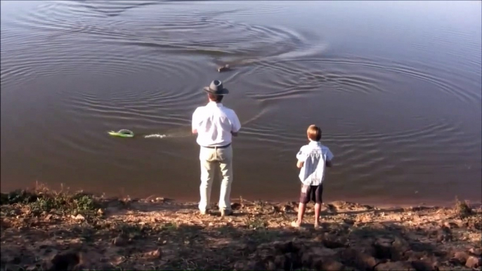 Un alligator vient manger le bateau télécommandé d'un enfant