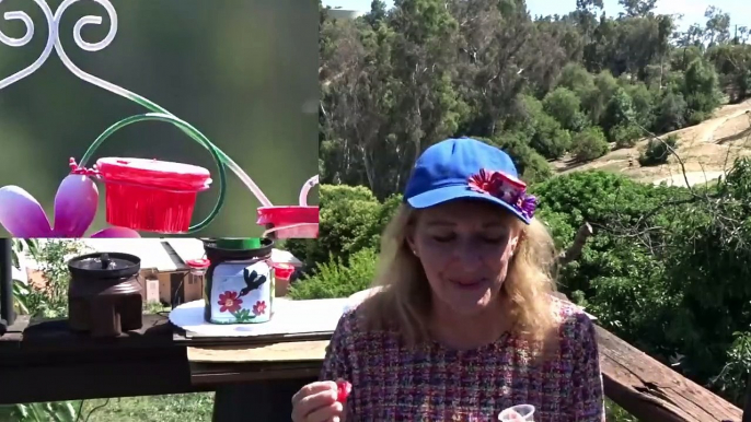 How To Make Easy Diy Hummingbird Feeder Tips On Feeding Recipe Nectar Attract Hummingbirds Bird Dots