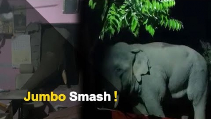 Elephant Enters Village In Odisha, Wreaks Havoc | OTV News