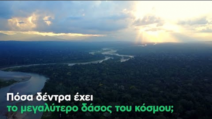 Πόσα δέντρα έχει το μεγαλύτερο δάσος του κόσμου;