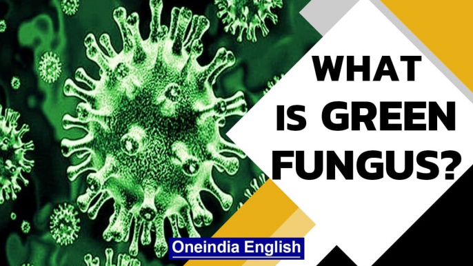 'Green Fungus' detected in Covid survivor in Madhya Pradesh | Aspergillosis symptoms | Oneindia News