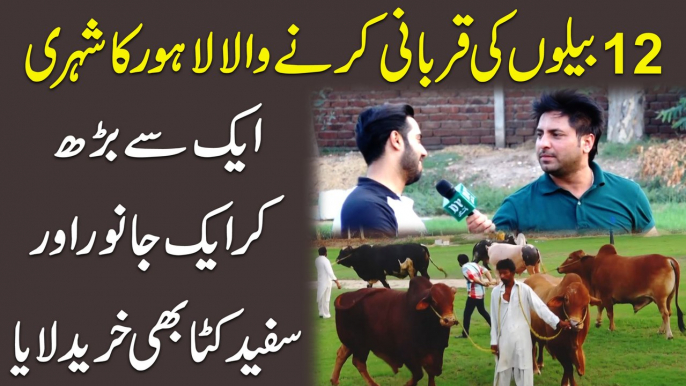 12 Nayab belon ki qurbani karny wala Lahore Ka shehri, aik se barh kr aik janwar aur safaid katta bhi khareed laya…