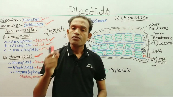 9th biology,plastids,cell organelles,ms patel e learning