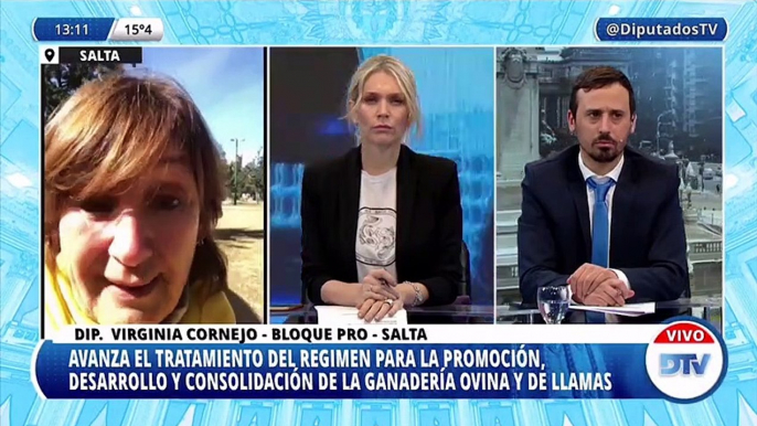 Virginia Cornejo, diputada del PRO, sobre la modificación de la ley ovina: "Quienes han trabajado en esta prórroga manifiestan que no se están actualizando los montos como para poder tener una mayor y mejor producción"