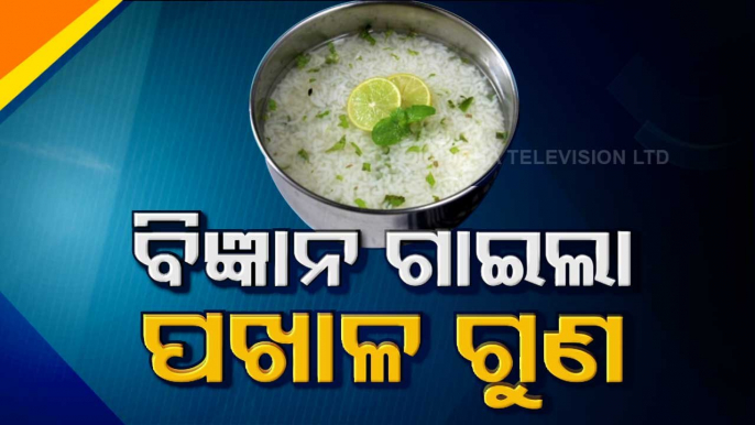 Pakhala Boosts Immunity- AIIMS-Bhubaneswar Study Finds Immunity Boosting Properties