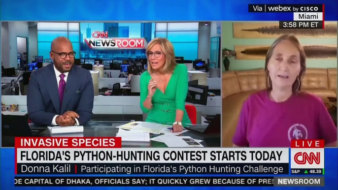 Florida Woman Describes for Shocked CNN Hosts How She Catches Pythons With Her Bare Hands