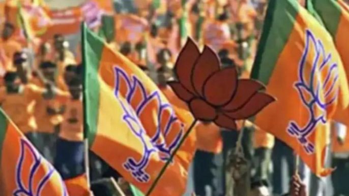 BJP won 66 out of 75 seats in Panchayat elections