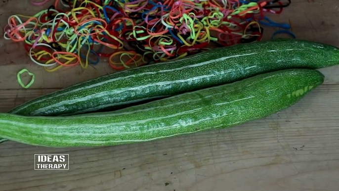 Snake Gourd Vs Rubber Bands | Ideas Therapy