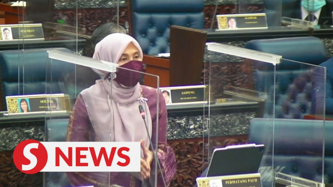 Do not rush to open the borders, Nurul Izzah urges govt