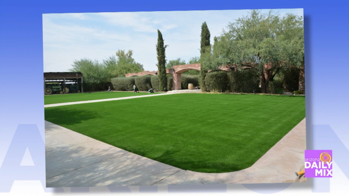 The Grass is Always Greener with Artificial Grass Masters!