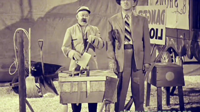 Comedy stooges |Three stooges comedy| |Stooges in Circus