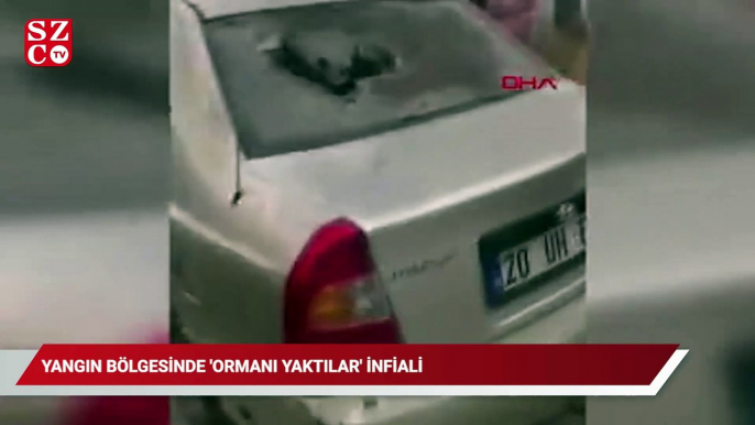 Yangın bölgesinde 'ormanı yaktılar' infiali! Öfkeli kalabalık linç etmek istedi