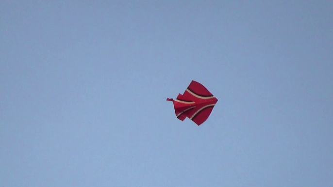 Entertainment of kite lovers and flying tutorial on basant festival of Pakistan