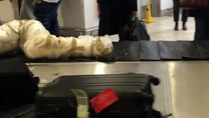Mannequin Lamp Raises Eyebrows at Baggage Claim