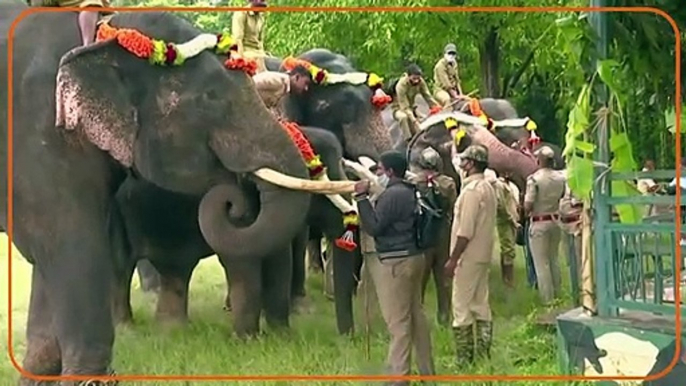 Special prayers on World Elephant Day in India