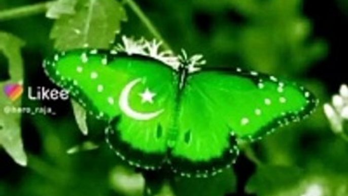 14 August Poetry | Happy Independence Day Pakistan  | WhatsApp status 14 August 2021
