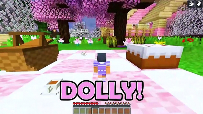 The BIRTH To DEATH of a DOLL in Minecraft!