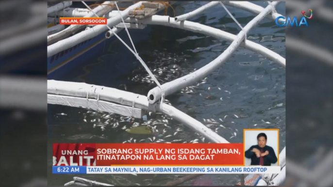 Sobrang supply ng isdang tamban, itinatapon na lang sa dagat | UB