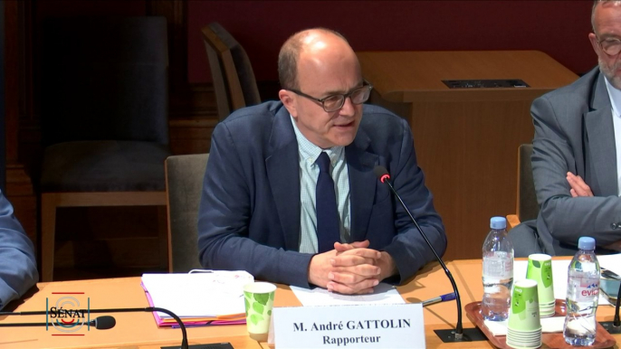 André Gattolin : "Nous nous intéressons à des formes d’influence qui sont des pressions politiques."