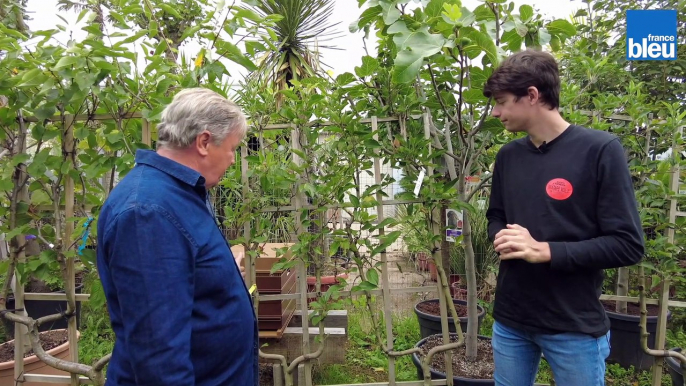 Préparer nos arbres fruitiers à l'hiver