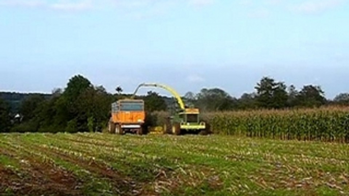 Ensilage 2007 chantier n°1