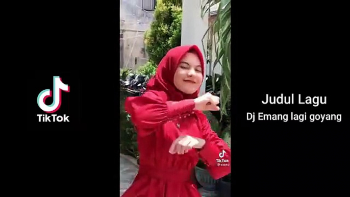 INI BARU HOT ..TIKTOK TERBARU 2021 GOYANG PARGOY YANG LAGI VIRAL DI TIKTOK