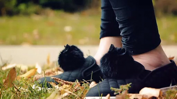 Get Creative With These Amazing Cat Pom-Poms for Your Sneaks!