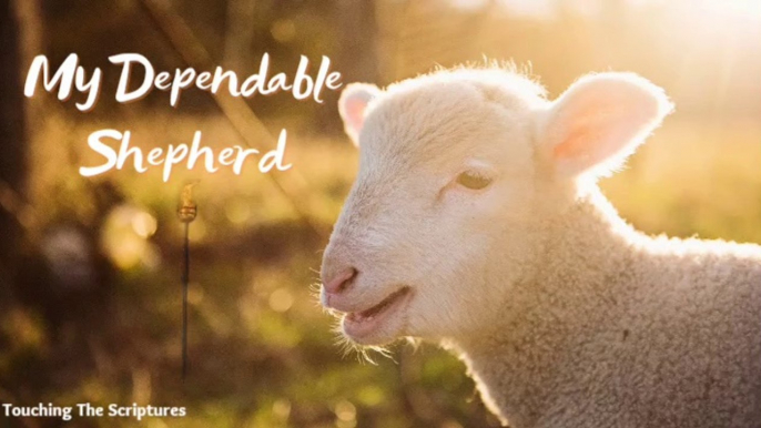 MY DEPENDABLE SHEPHERD || LIQUID SCRIPTURES || TOUCHING THE SCRIPTURES