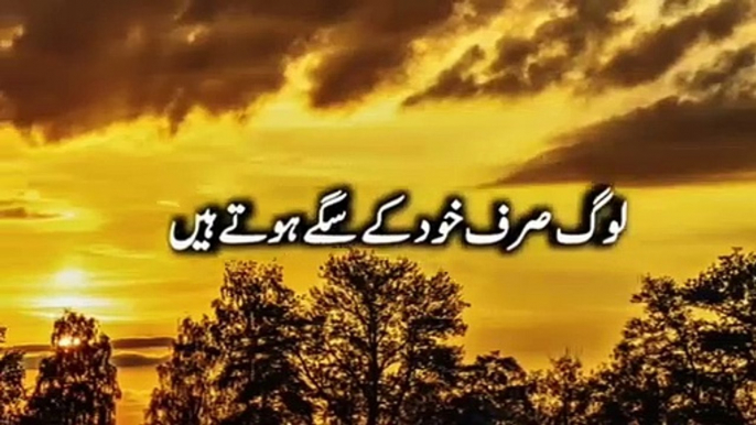 Shayari status  whatsapp status  urdu poetry urdu shayari sad poetry urdu New Romantic Shayari