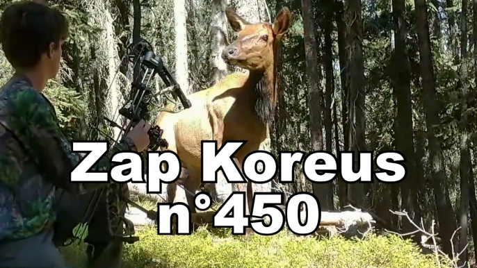 Zap Koreus n°450