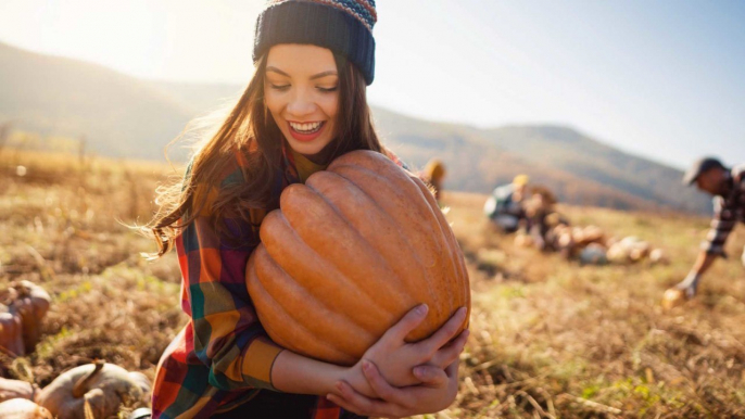 Fairytale Pumpkins Have Officially Taken Over Fall Decorating, And We're Charmed