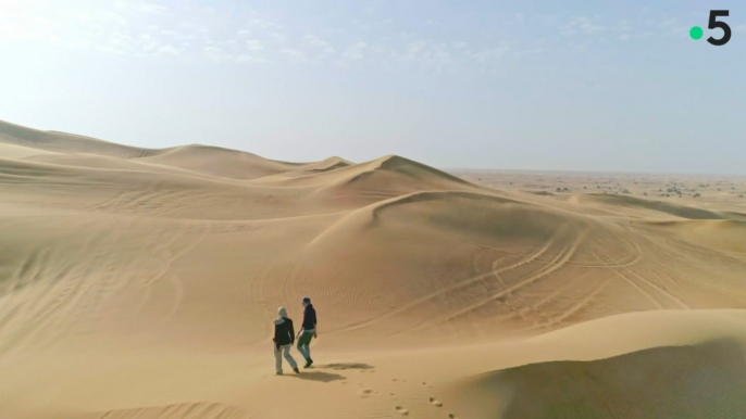 Aux Emirats arabes unis, l'innovation technologique face aux défis climatiques