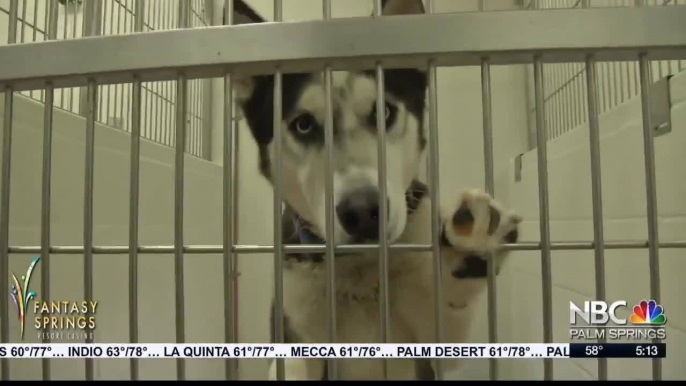 People Sheltering at Home Clearing Riverside County Shelters